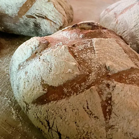 Casa de hóspedes Cal Pai